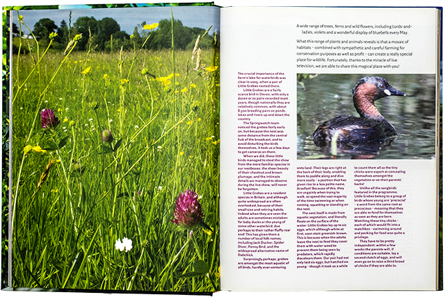 Springwatch, Collins, double page spread