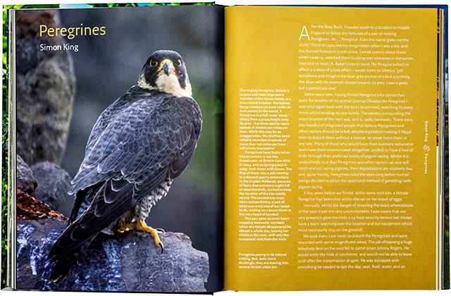 Springwatch, Collins, double page spread