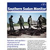 Southern Sudan Monitor, Saferworld